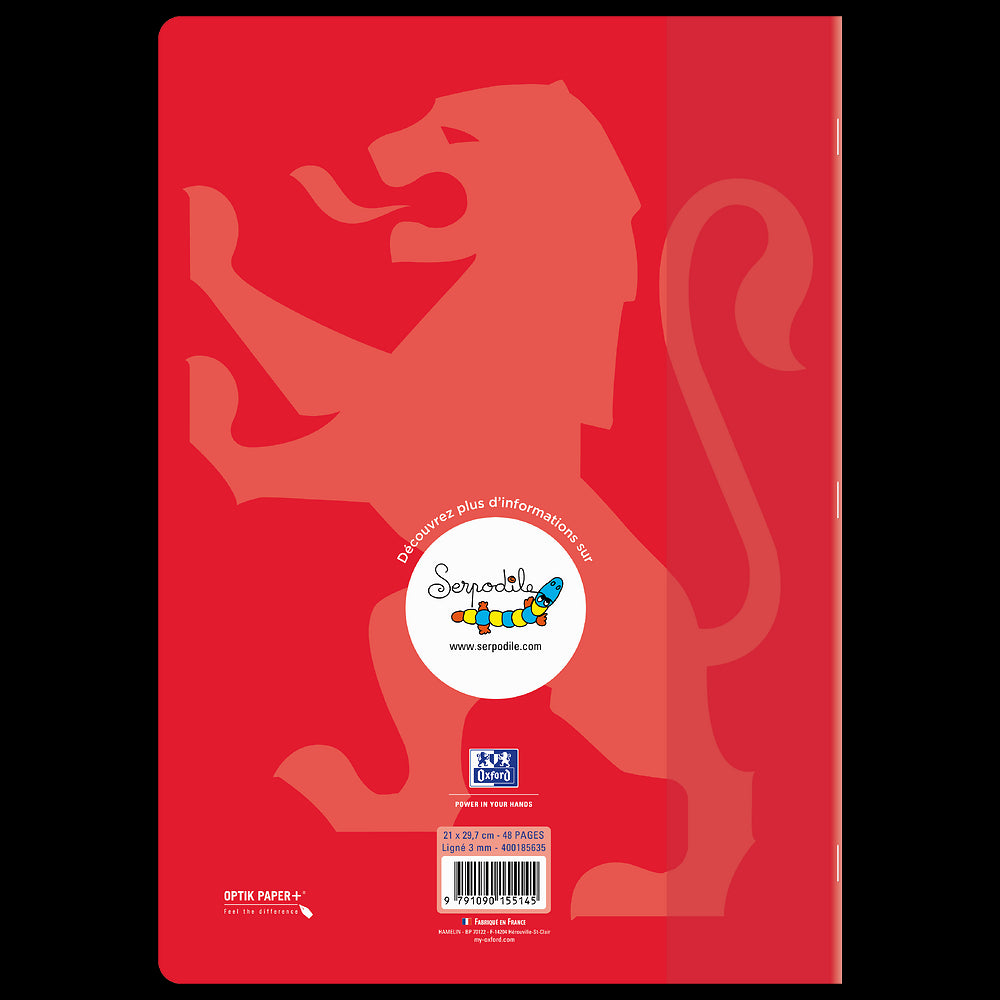 Cahier DYS ligné 3mm # 21x29,7 - 48 pages - niveau 3