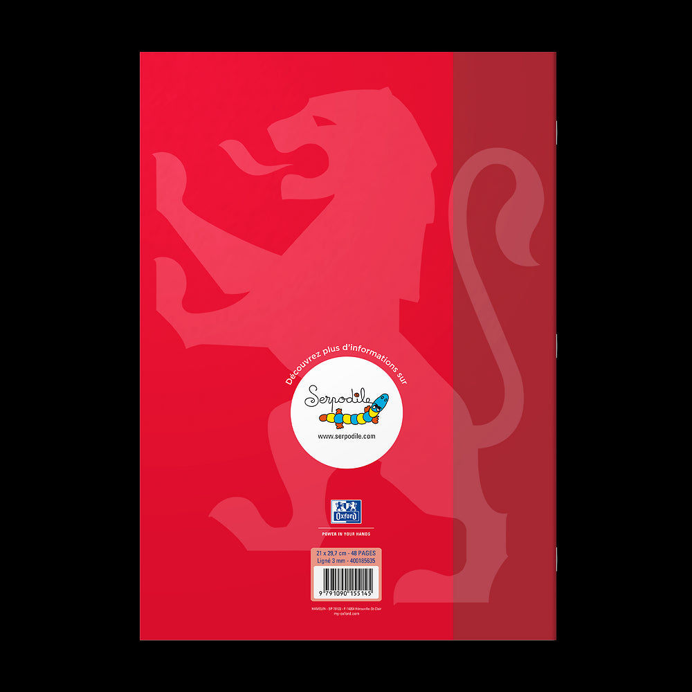 Cahier DYS ligné 3mm # 21x29,7 - 48 pages - niveau 3