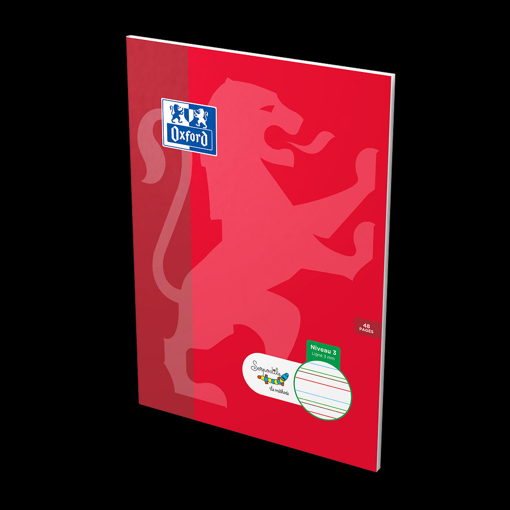 Cahier DYS ligné 3mm # 21x29,7 - 48 pages - niveau 3