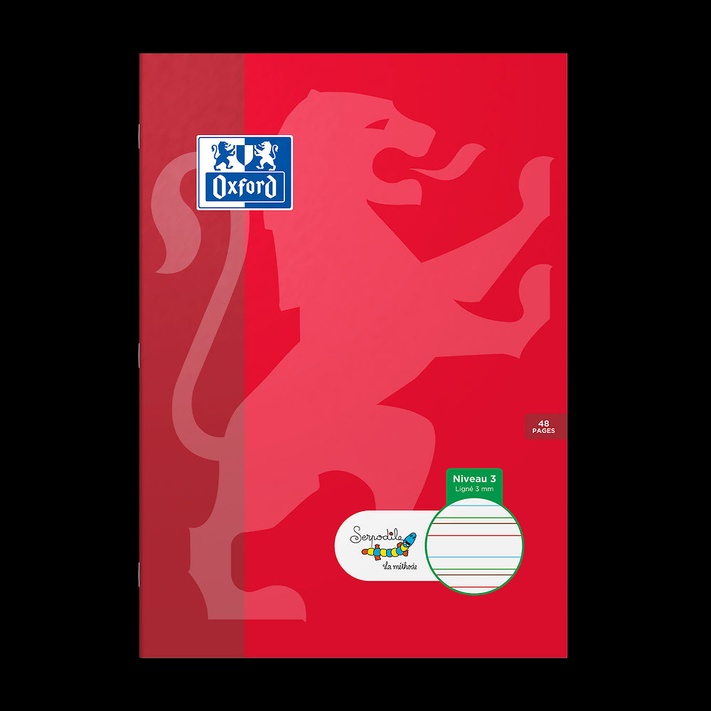 Cahier DYS ligné 3mm # 21x29,7 - 48 pages - niveau 3