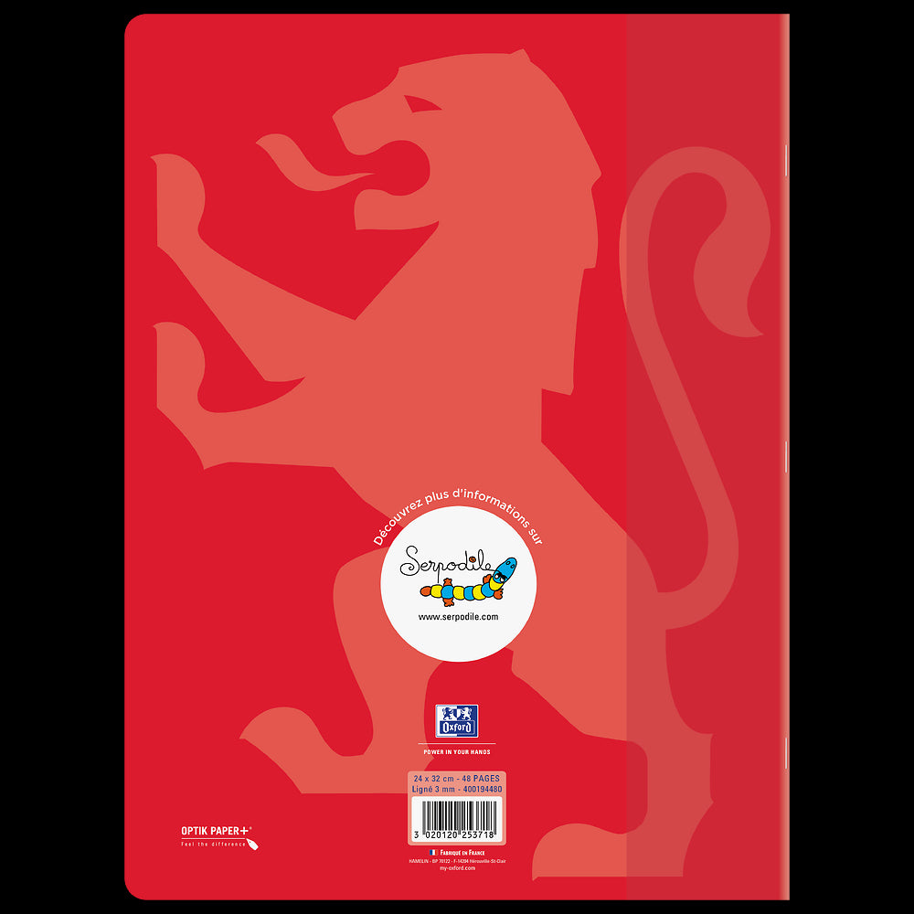 Cahier DYS ligné 3mm # 24x32 - 48 pages - niveau 3