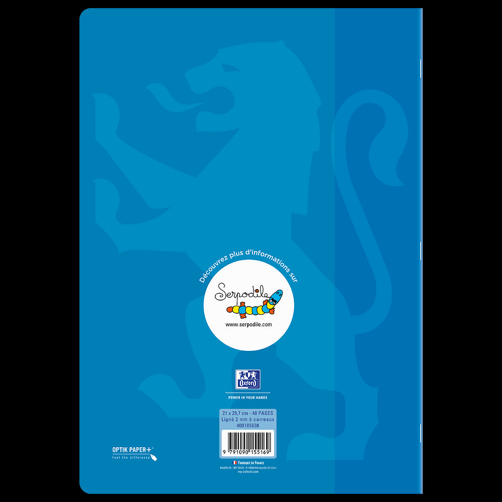 Cahier DYS ligné 2mm à carreaux # 21x29,7 - 48 pages - niveau 5