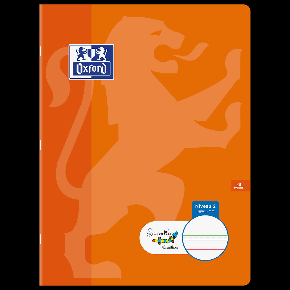 Cahier DYS ligné 5mm # 24x32 - 48 pages - niveau 2