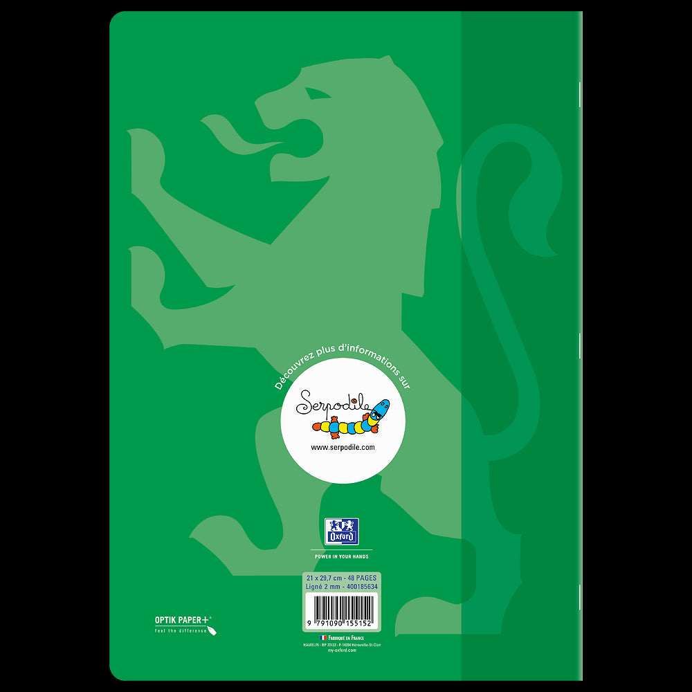 Cahier DYS ligné 2mm # 21x29,7 - 48 pages - niveau 4