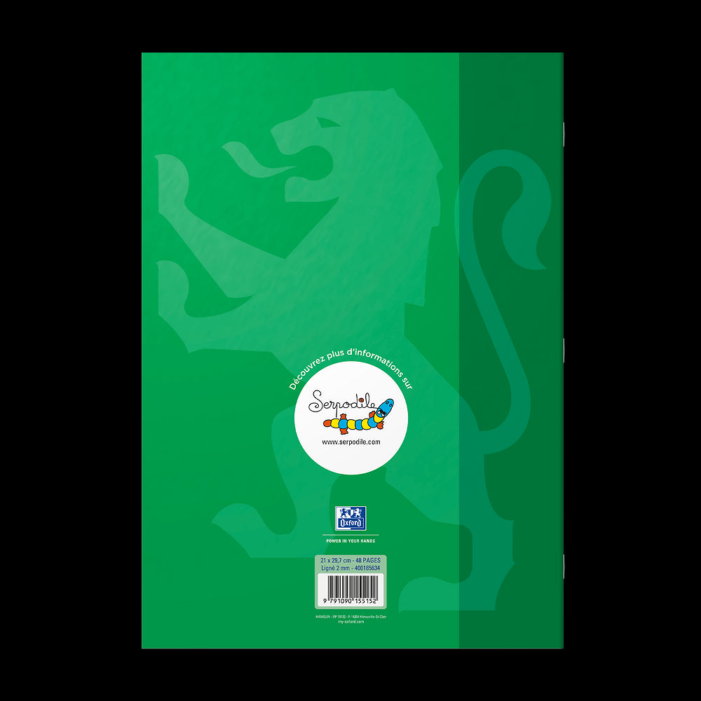Cahier DYS ligné 2mm # 21x29,7 - 48 pages - niveau 4