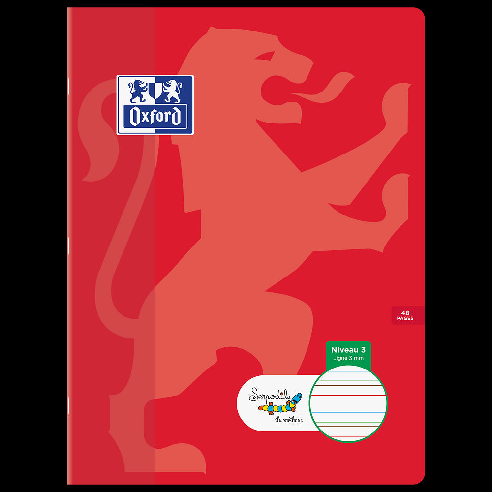 Cahier DYS ligné 3mm # 24x32 - 48 pages - niveau 3