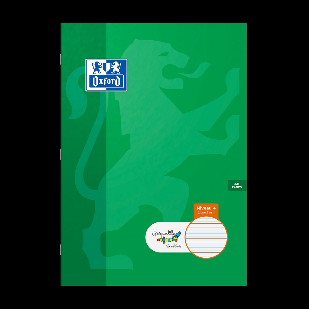 Cahier DYS ligné 2mm # 21x29,7 - 48 pages - niveau 4