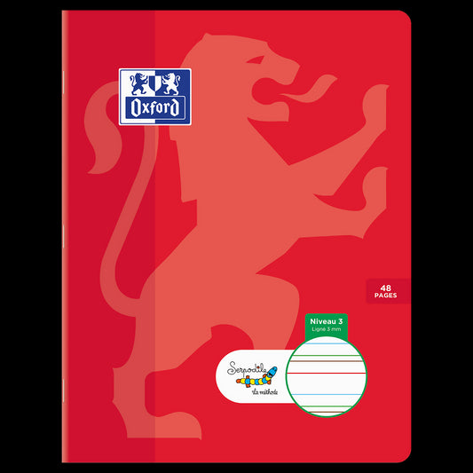 Cahier DYS ligné 3mm # 17x22 - 48 pages - niveau 3