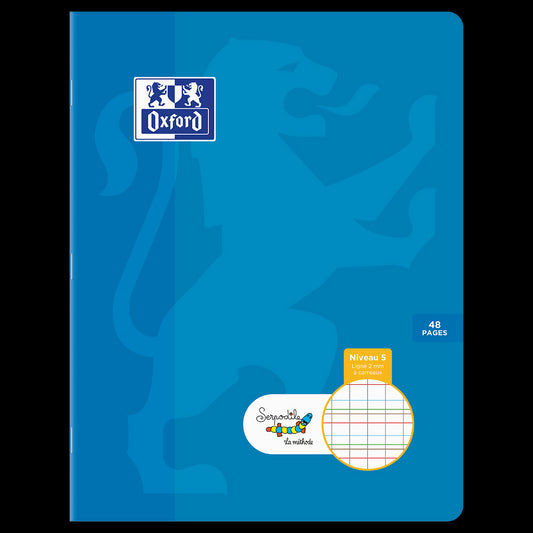 Cahier DYS ligné 2mm à carreaux # 17x22 - 48 pages - niveau 5