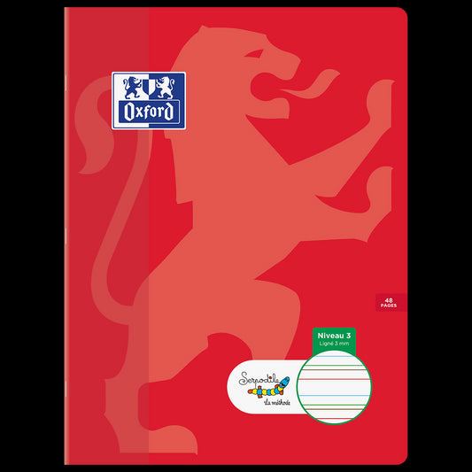 Cahier DYS ligné 3mm # 24x32 - 48 pages - niveau 3