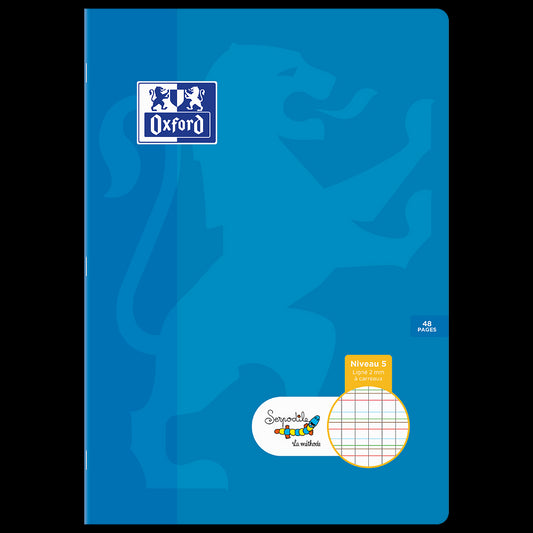 Cahier DYS ligné 2mm à carreaux # 21x29,7 - 48 pages - niveau 5