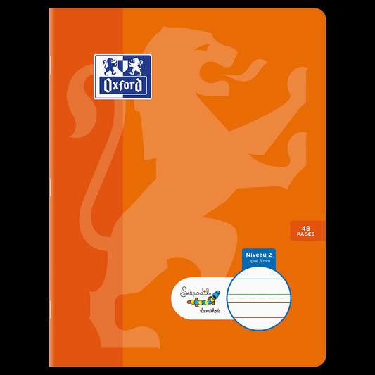 Cahier DYS ligné 5mm # 17x22 - 48 pages - niveau 2